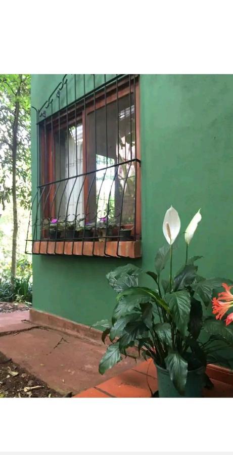 Апартаменты Jardin De Naipi 2 Пуэрто-Игуасу Экстерьер фото